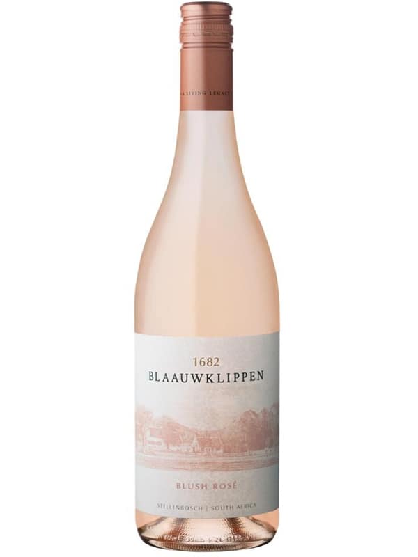 blaauwklippen rose