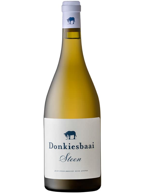 Donkiesbaai_Steen